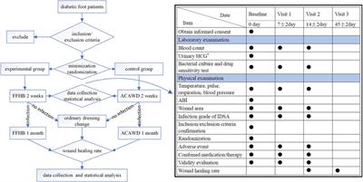 Efficacy and pharmacoeconomic advantages of Fufang Huangbai Fluid hydropathic compress in diabetic foot infections: a comparative clinical study with antimicrobial calcium alginate wound dressing